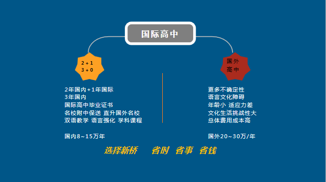 国际高中_北京新桥外国语高中学校课程